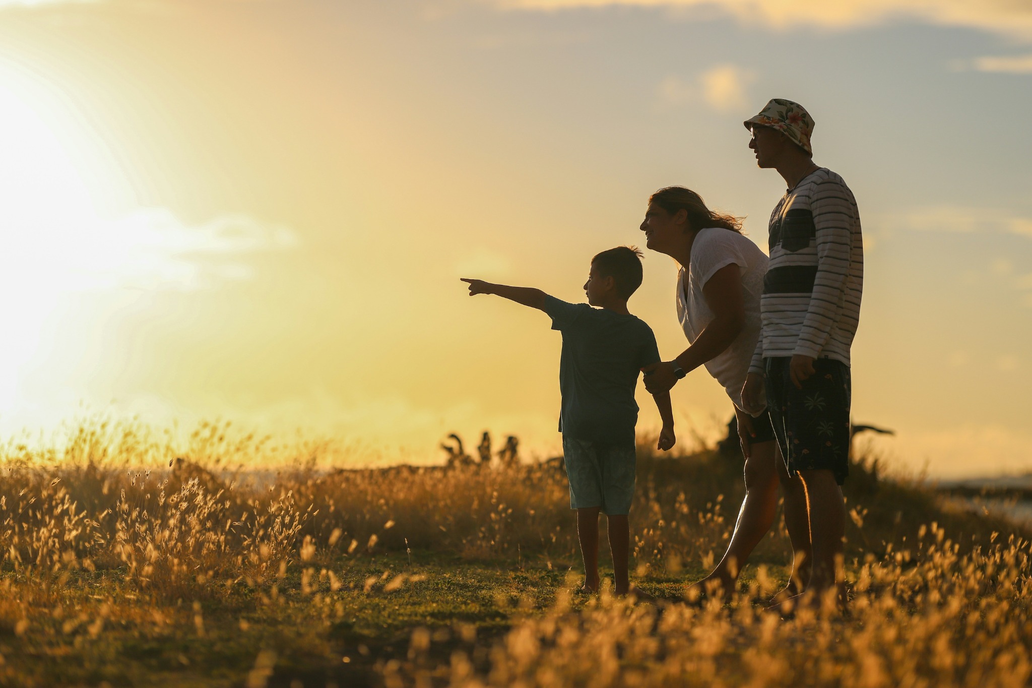 Family Law & Succession lawyer Mombasa Kenya — P&A Advocates LLP